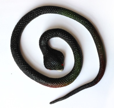 Had gumový kobra