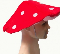 Klobouk muchomůrka